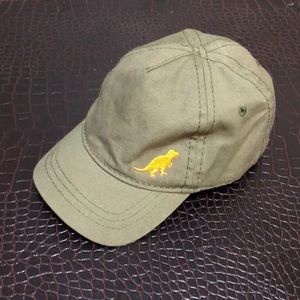 Baby Dinosaur Hat